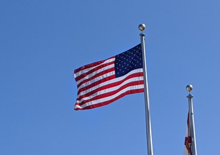 American Flag At Venetian Center In Leesburg