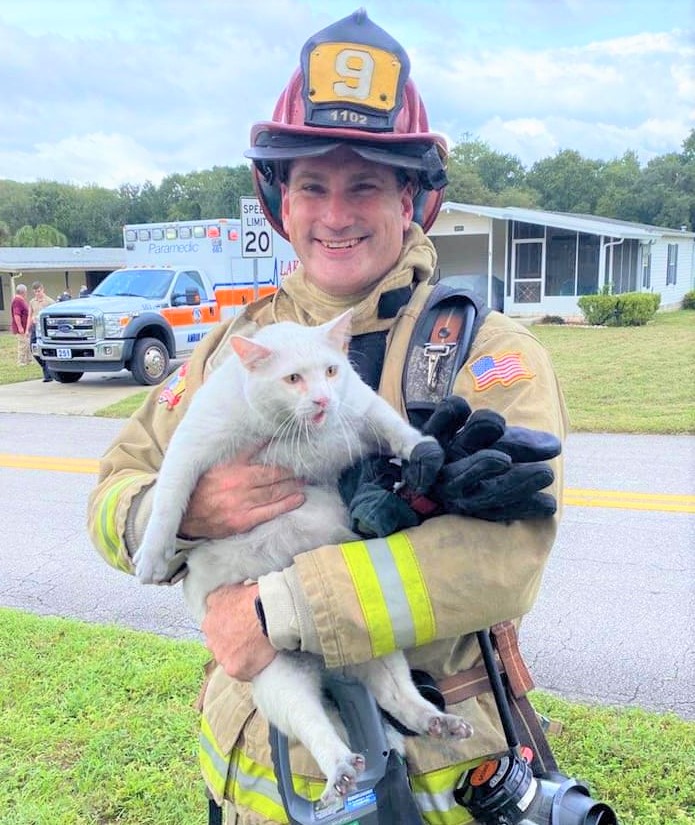 Firefighters scramble to rescue cats after dousing kitchen fire in local residence