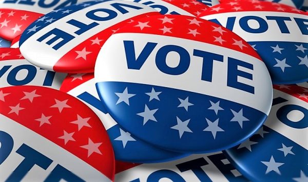 30 percent of Lake County voters cast ballots during Early Voting