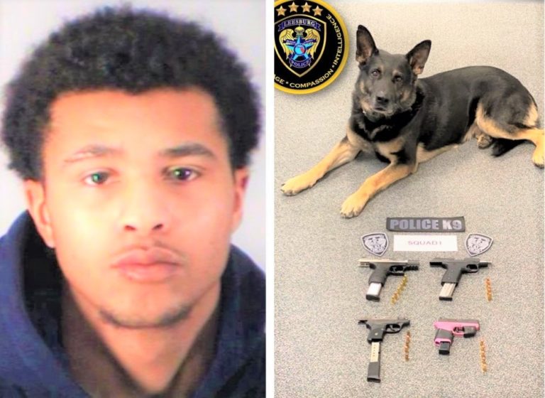 19-year-old Leesburg man popped with two stolen handguns during traffic stop