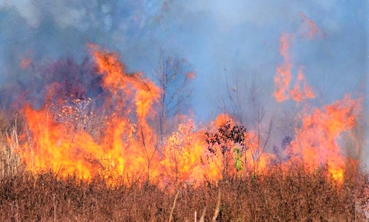 Lake County Fire Rescue warns of increased risk of brush fires
