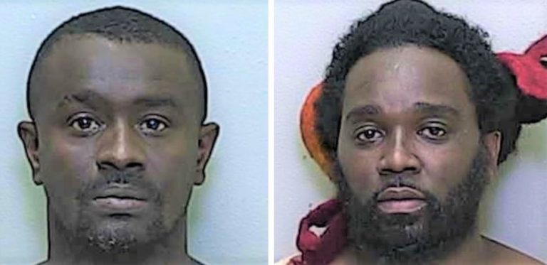 Leesburg men nabbed after high-speed chase indicted on methamphetamine charges
