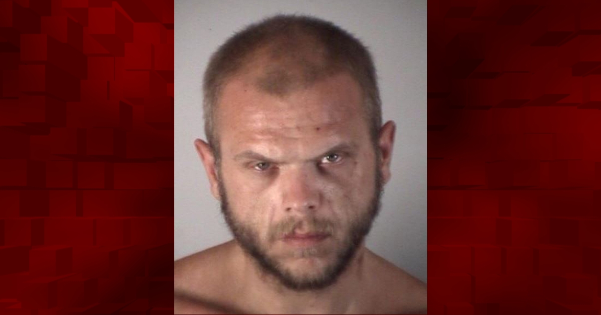 Leesburg man accused of choking woman and taking her phone