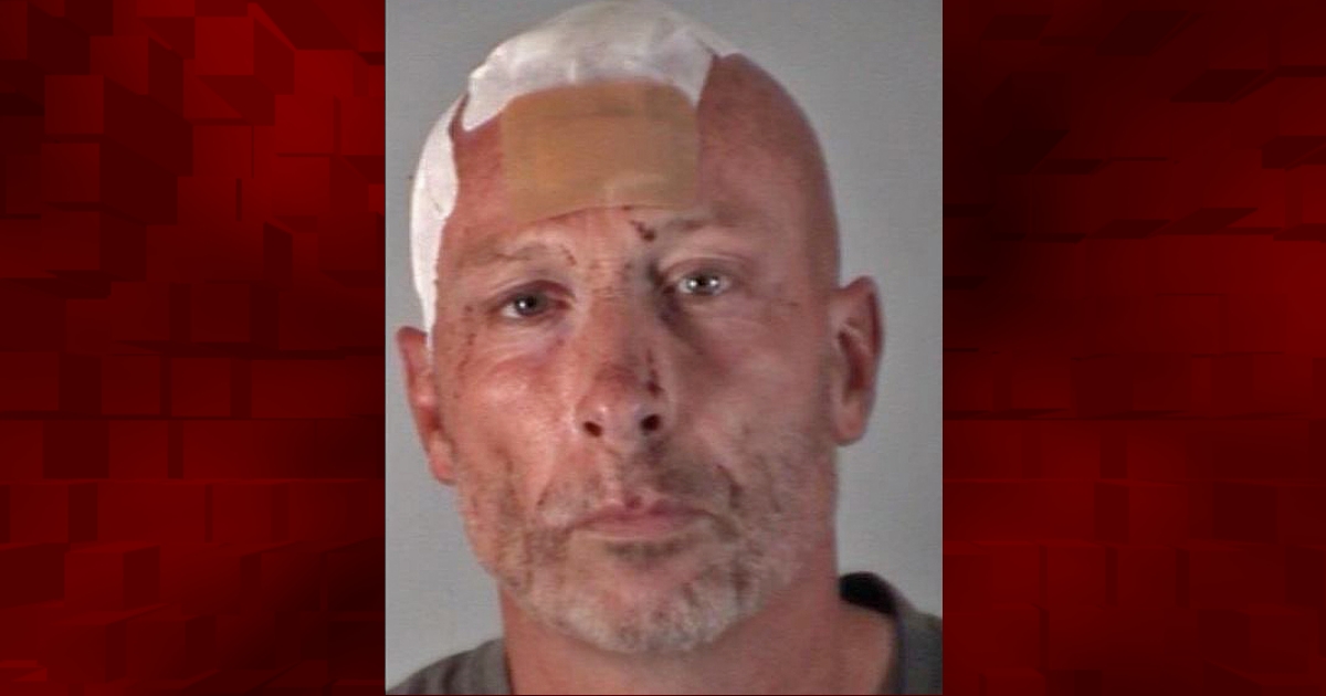Leesburg man injured in crash while fleeing police
