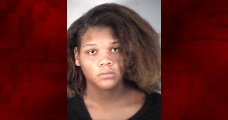 Teen jailed after allegedly joyriding in stolen car to Daytona and Tampa