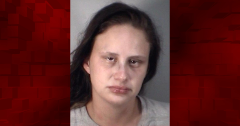 Woman charged with pawning items stolen from Lowes in Leesburg