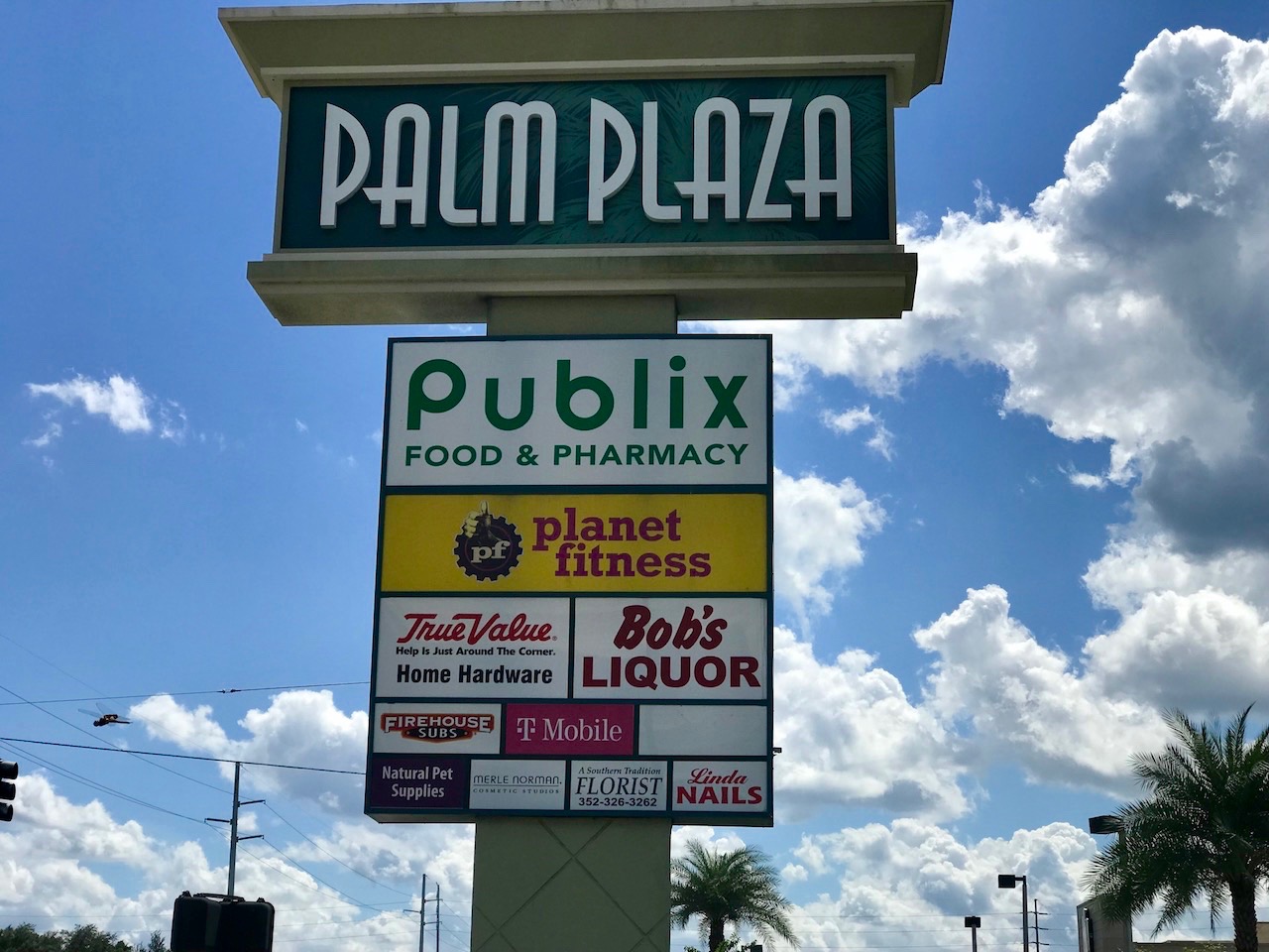 Palm Plaza in Leesburg