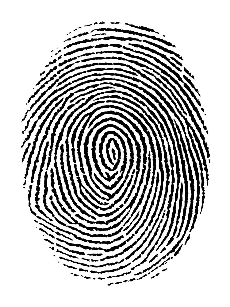 fingerprint