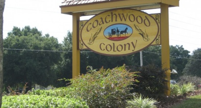 coachwood