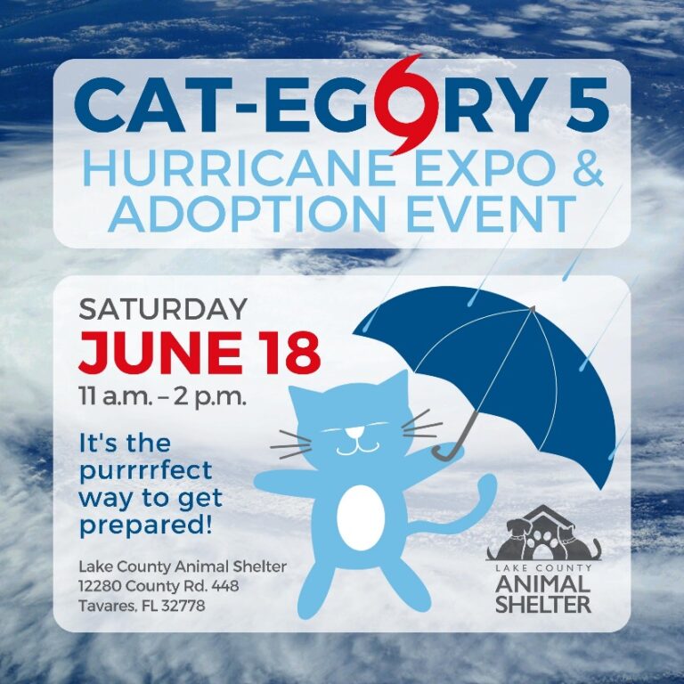 Lake County Animal Shelter wants pet owners to plan for hurricane emergencies