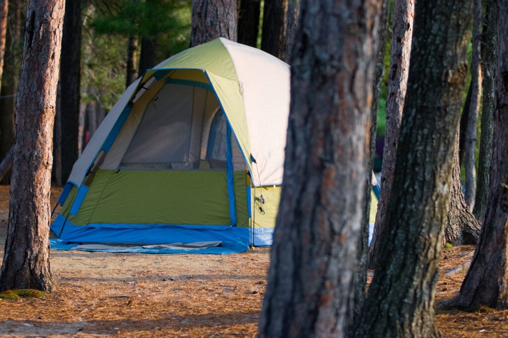 Homeless man allegedly shoves pregnant girlfriend during spat at camp