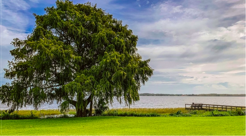 Lake County view