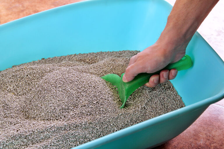 Cleaning cat litter box. Hand is cleaning of cat litter box with