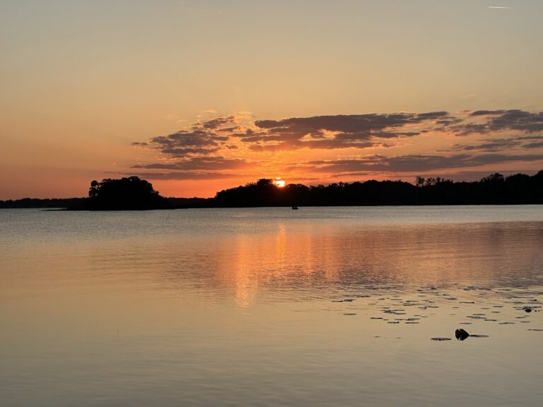 Reader Louise Chen shot this beautiful sunset over Lake Griffin.