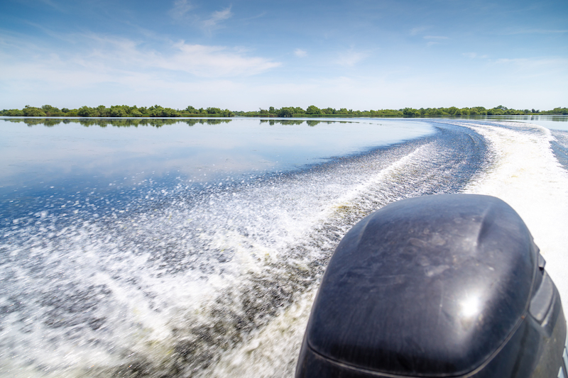 Trail of beautiful water from motor boat in Danube Delta, Romania