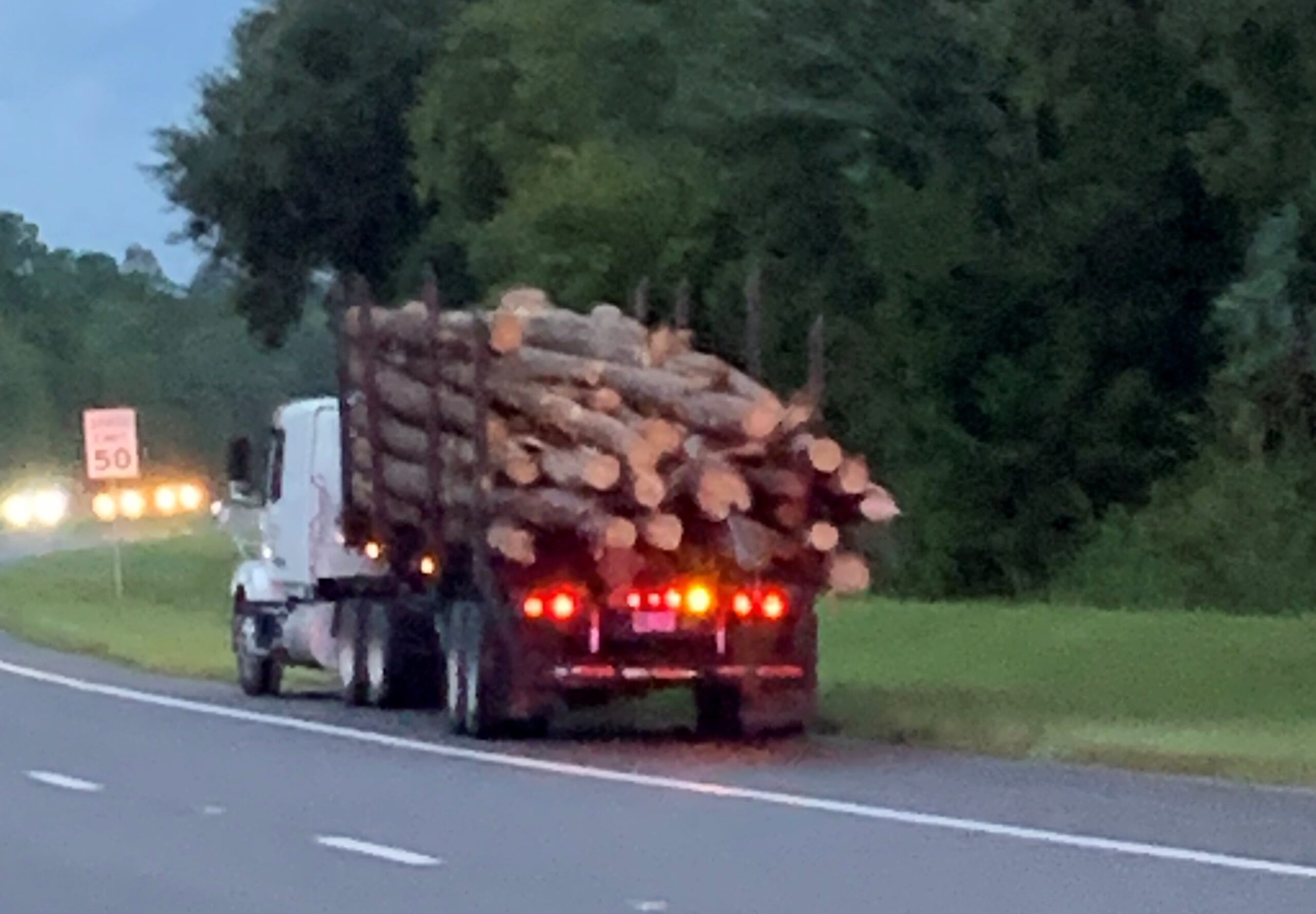 The Leesburg man was driving this log truck.