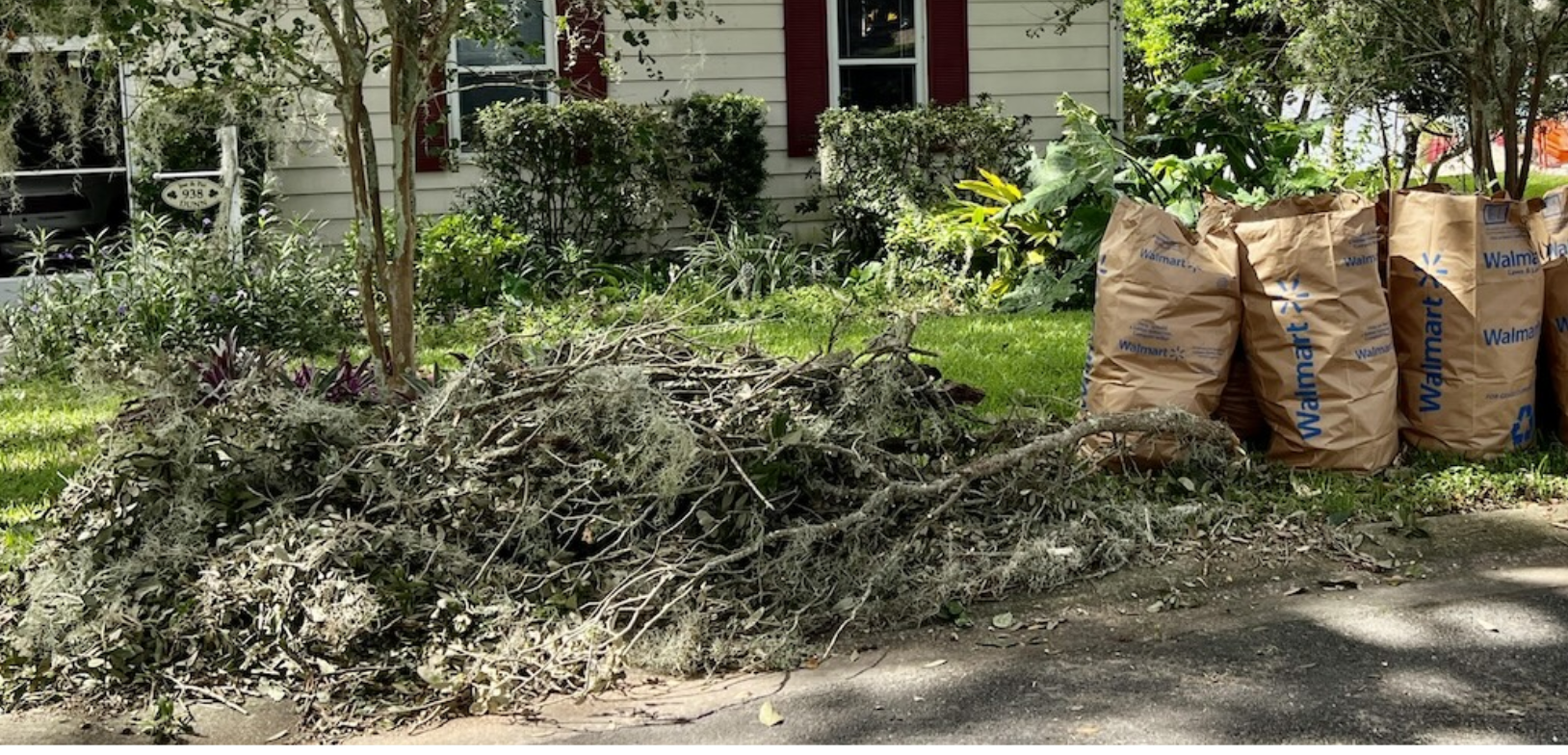 Debris