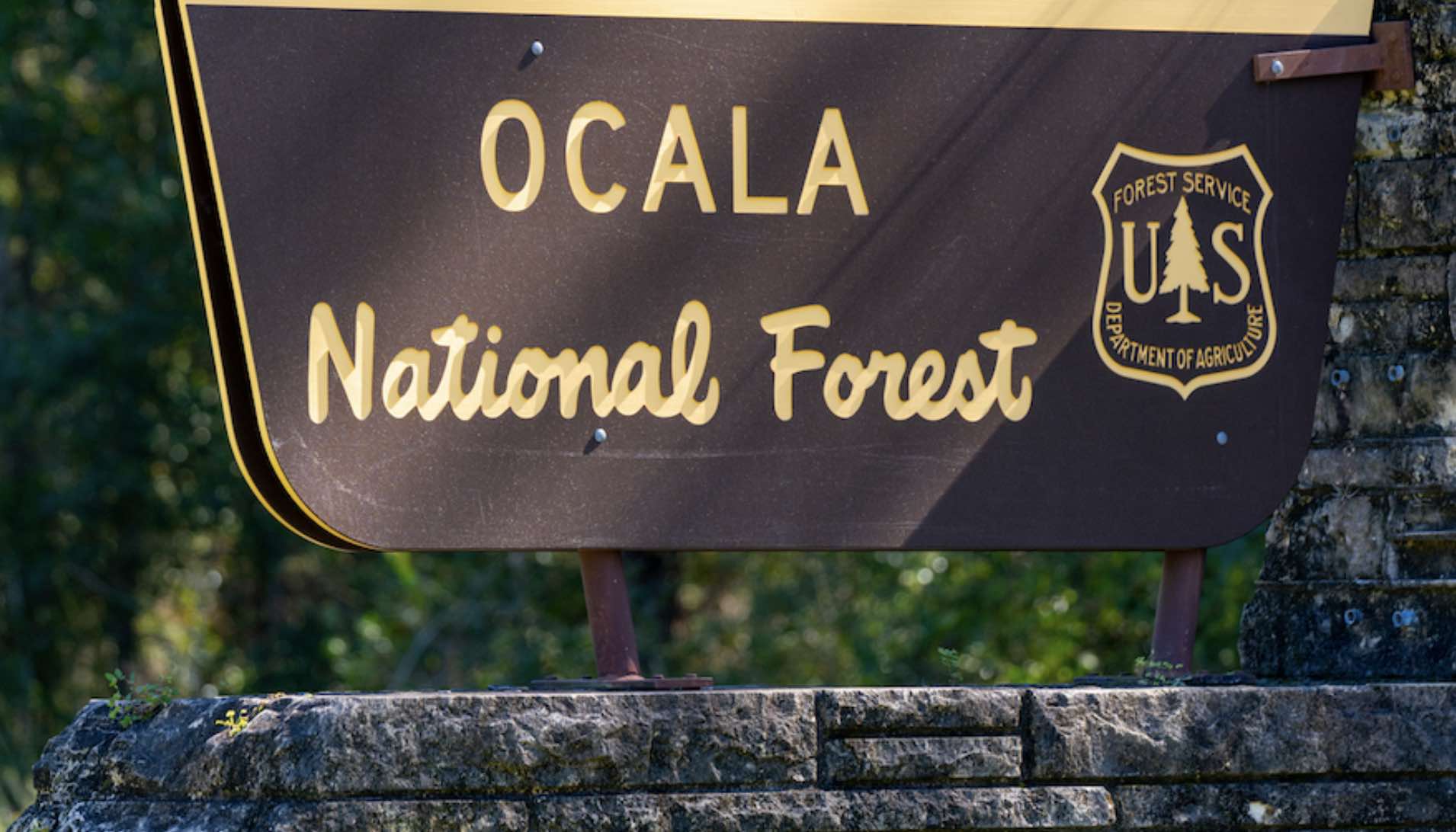 Ocala National Forest