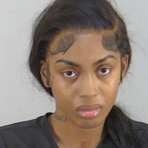 Dyshia Gillbrasha Williams Dyshia Gillbrasha Williams