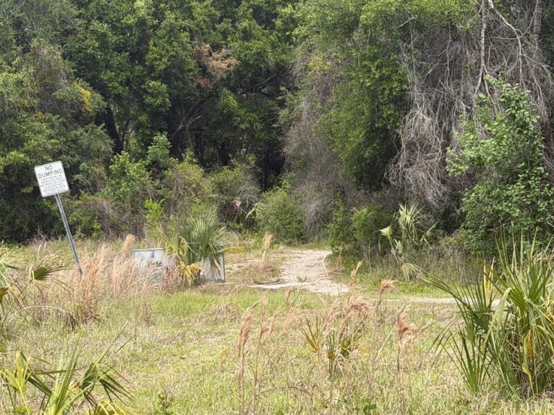 This path leads to the homeless camp