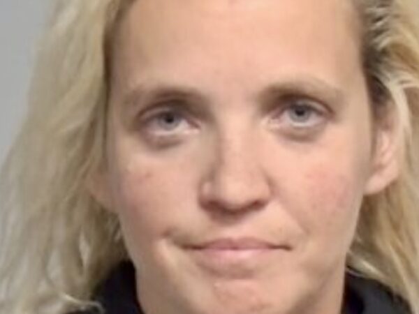 Children barricade themselves in bathroom when armed ex-stepmother makes unwelcome appearance