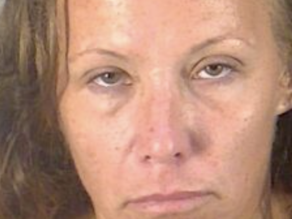 Pregnant woman allegedly pulls knife on homeowner when confronted about checking mailbox