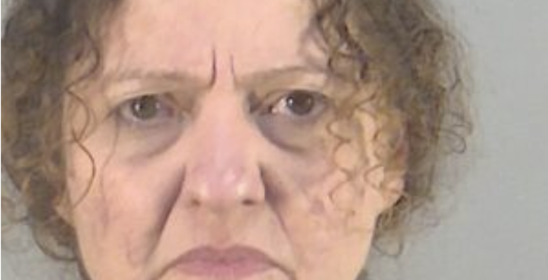 Woman who fled from traffic stop allegedly lies to law enforcement - Leesburg-News