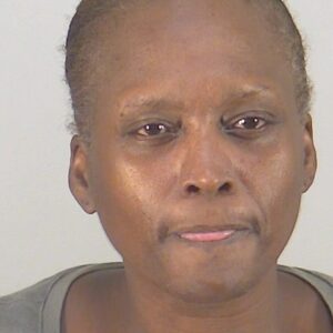 Patricia Lashan Williams Patricia Lashan Williams
